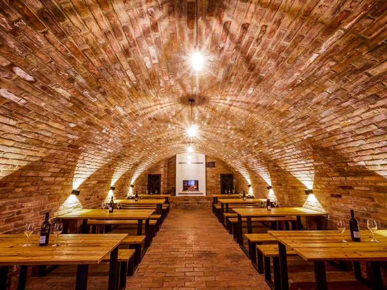Wine experience