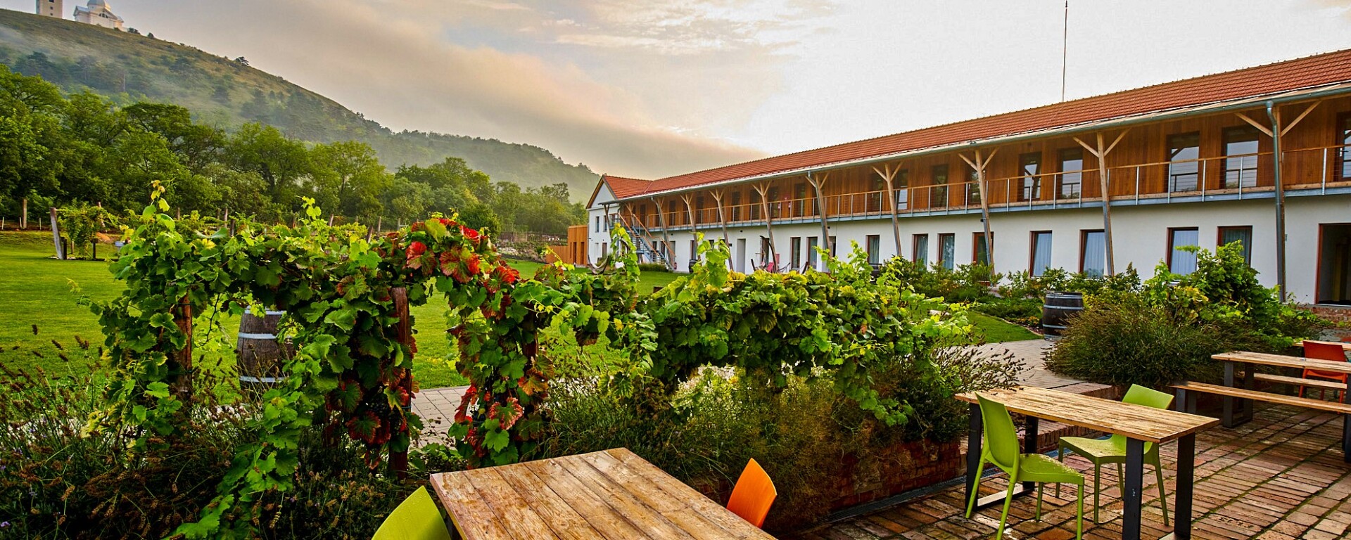 ryzlink_spa -131.jpg