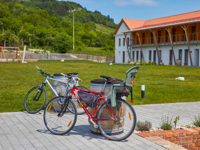 Activities in the Ryzlink Hotel