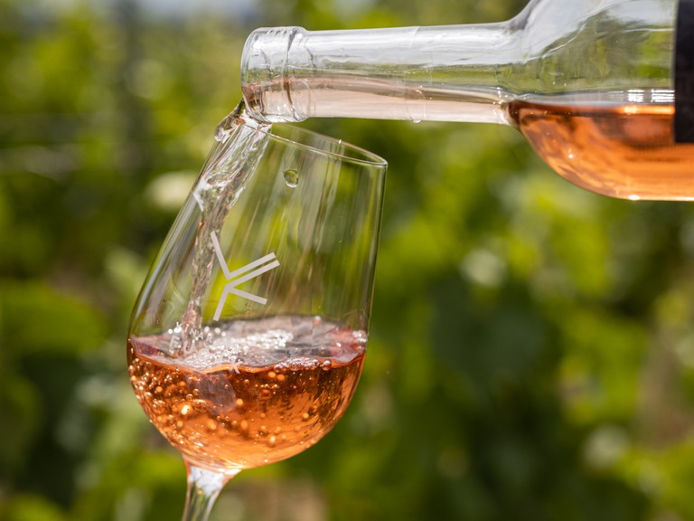 Friday Winery Tours & Wine Tastings