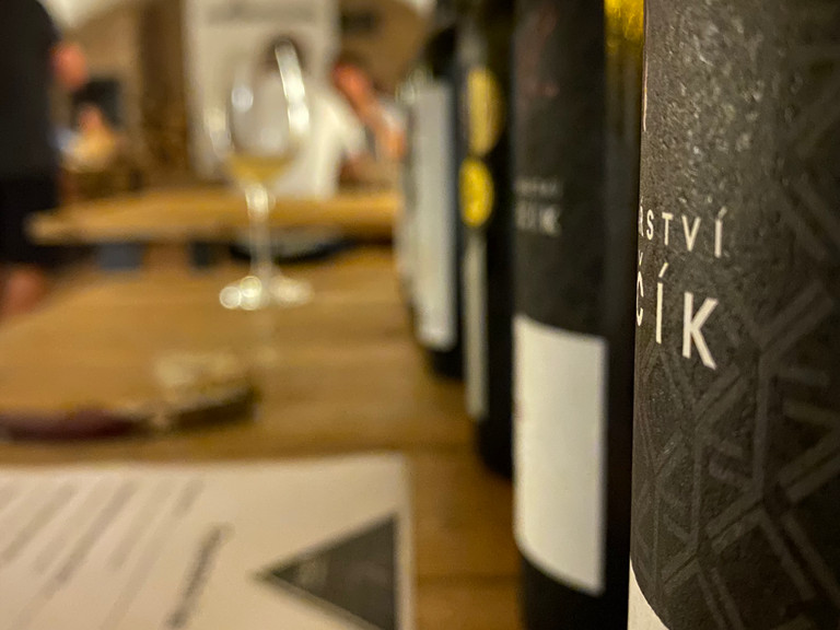Program Hotelu Ryzlink - Léto 2021