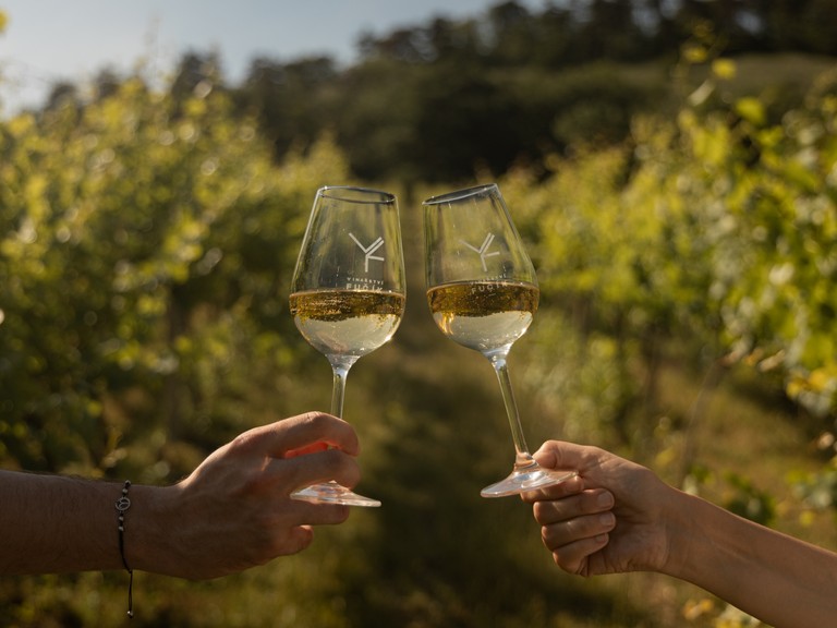 CUSTOM TASTINGS BY APPOINTMENT